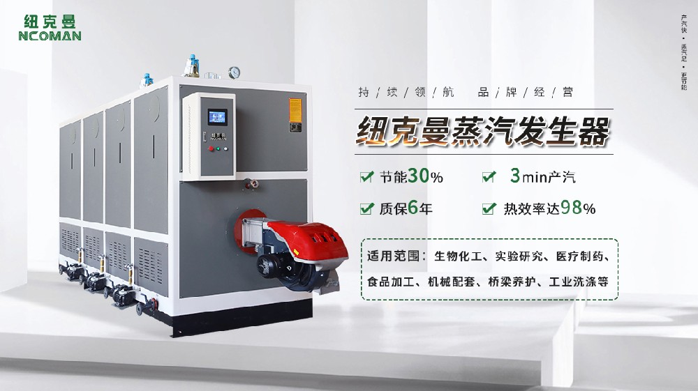 300公斤小型蒸汽鍋爐，企業(yè)節(jié)能新選擇，效果驚人！